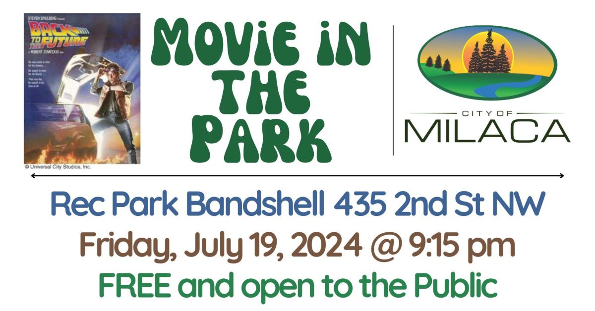Back to the Future Movie in the Park