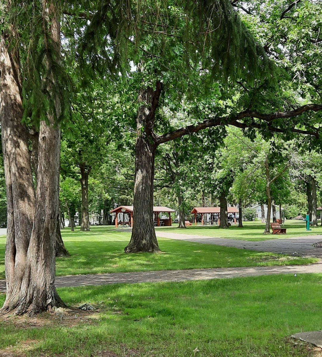 Park path and shelters